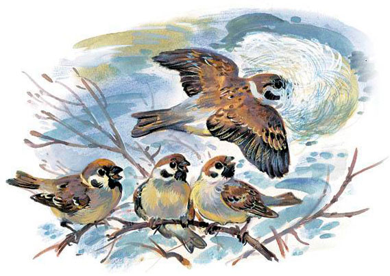 Ватажиться им вовсе не впервой