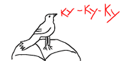 Как нарисовать кукушку поэтапно