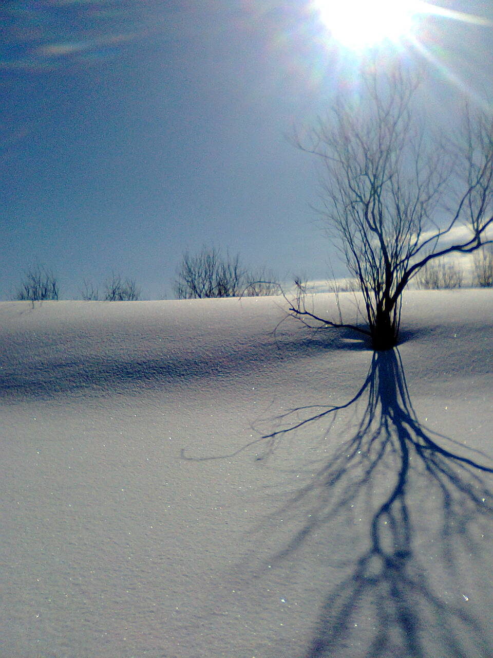 Тихо-тихо...