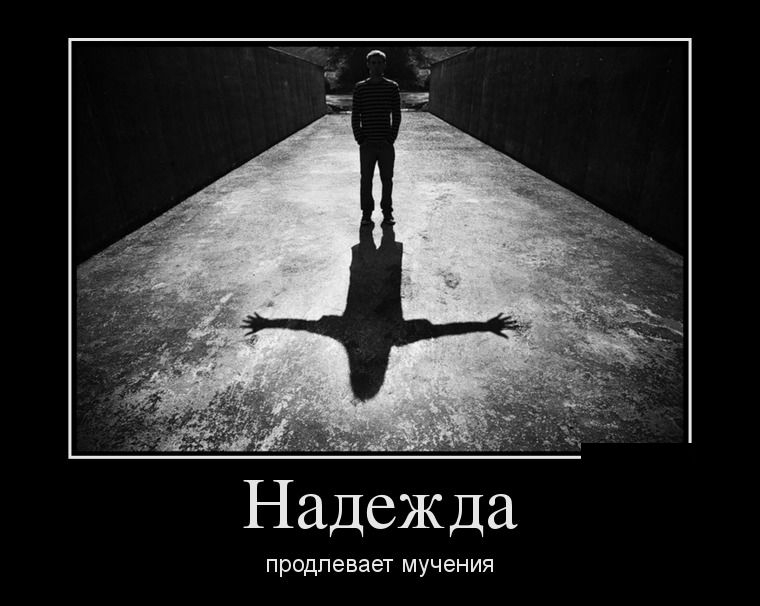 Надежда Приколы