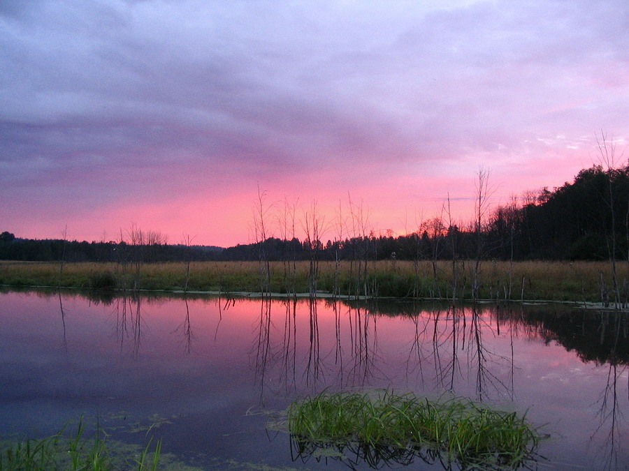 Розовый вечер