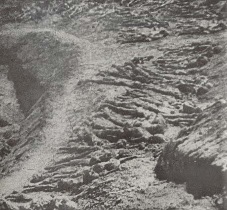 19 августа 1943 г