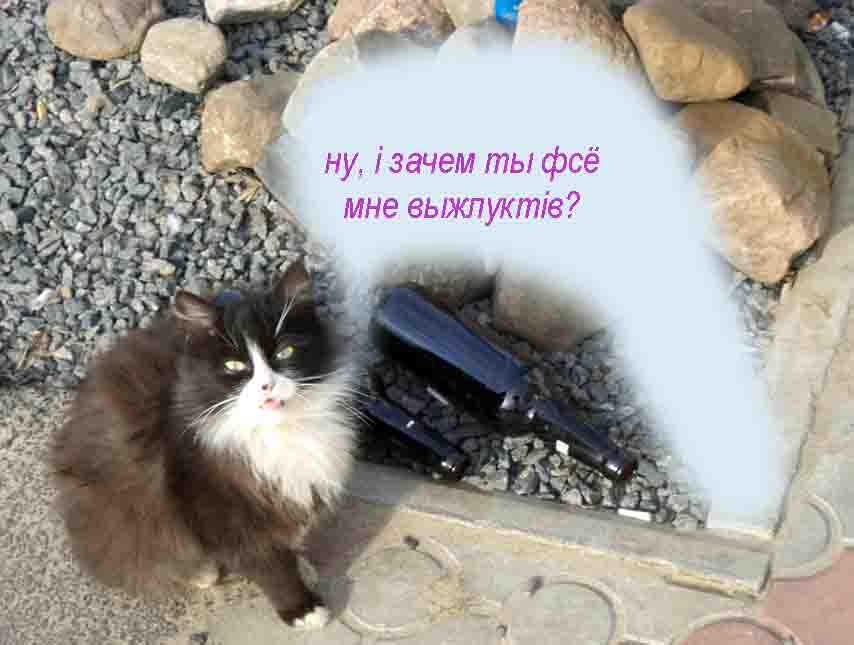 Ты начни, дружок, вкладаты