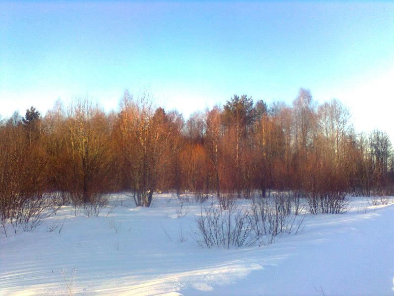 Предвесеннее