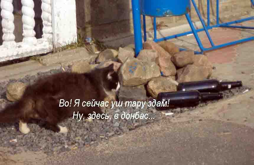 И в нарастающэм паток