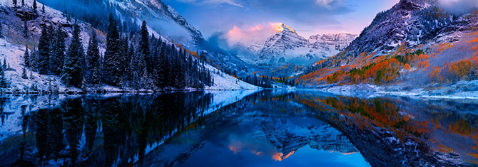 Кит и планктон