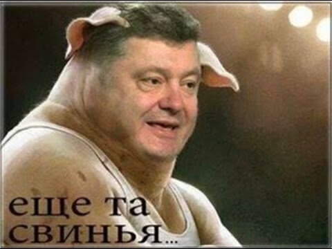 2215 Красота Паша Седов