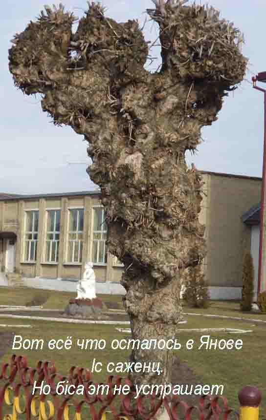 Как лечат, если ты ж немножко пЯн