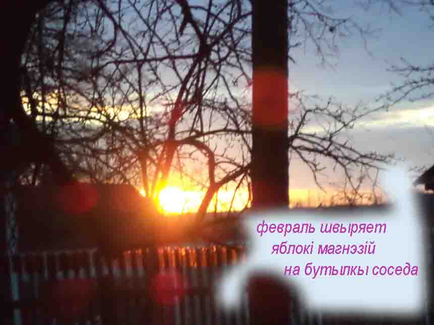 Есть дытэхтор, шо чуе й сэрцэ!