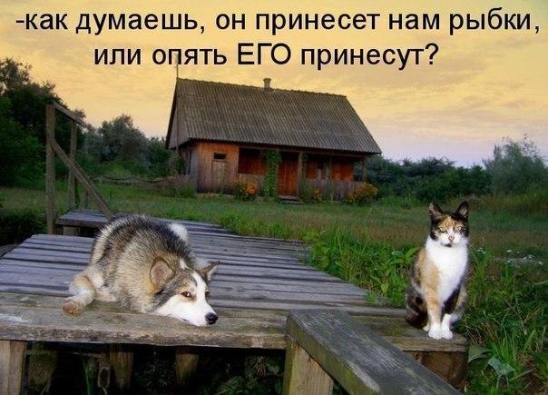 Хозяин рано утром на рыбалку уходил...