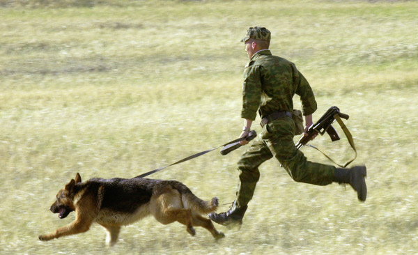 Бежала ищейка по следу...
