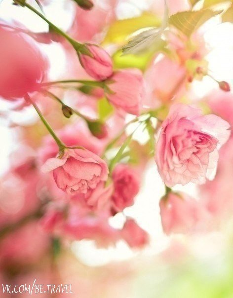 Маленькое чудо