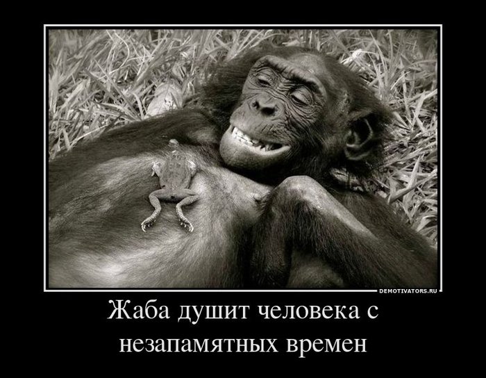 Жаба
