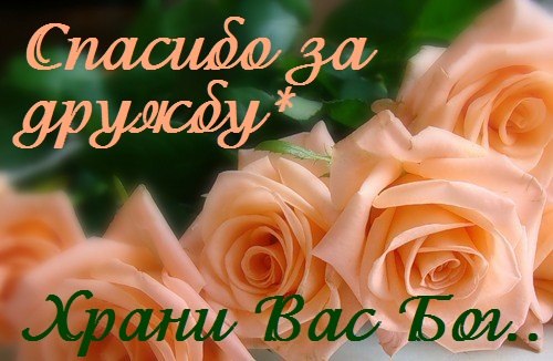 Чужие стихи я прочитала...