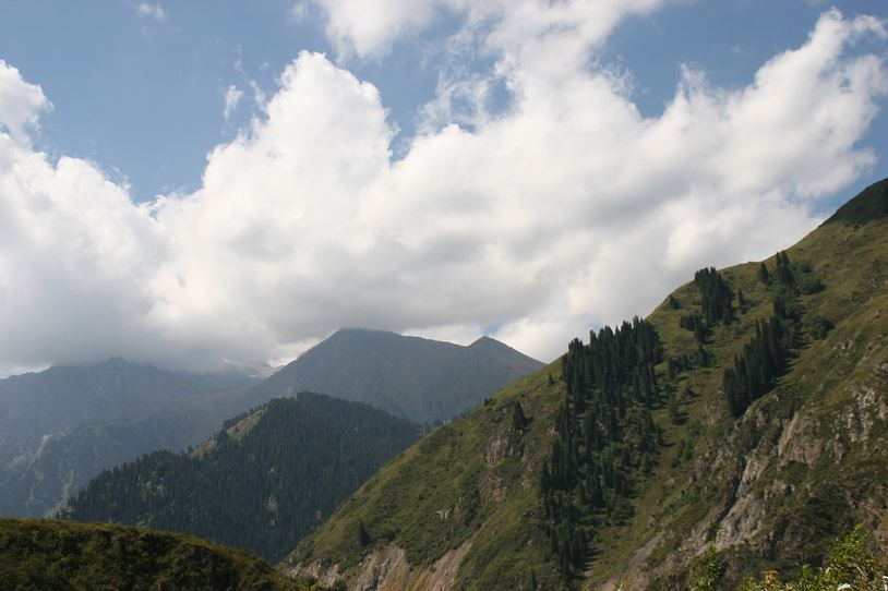 Выздоравливай