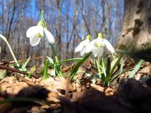 Весеннее тепло