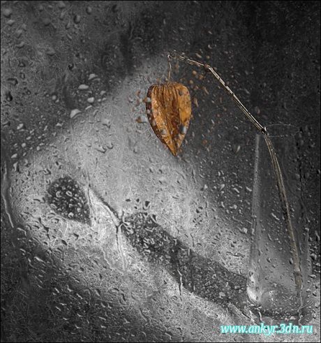 В каждом дне есть доля невидимой яви