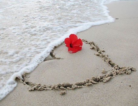 Люблю тебя я или нет?