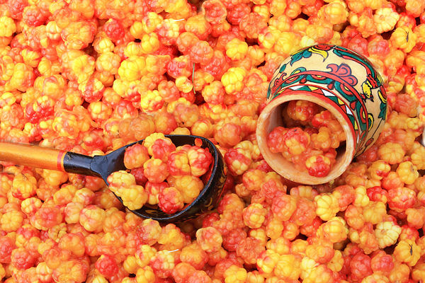 Расскажи про бруснику с морошкой