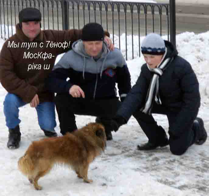 Мы всэ пырыговаруйимса, Вайс!