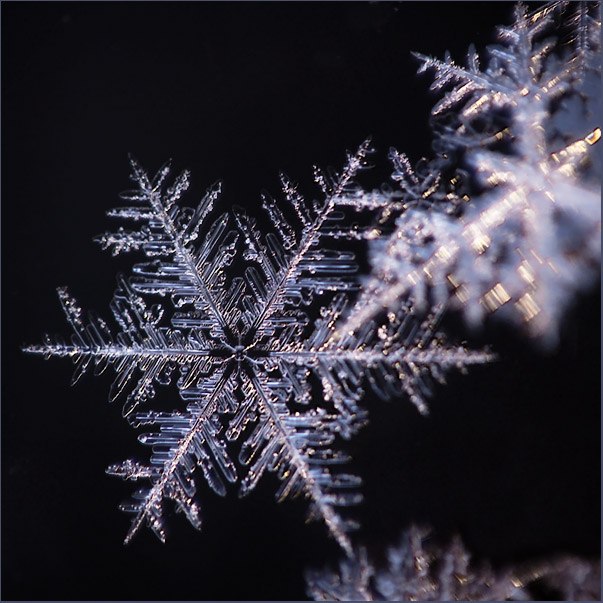 Грустит зима