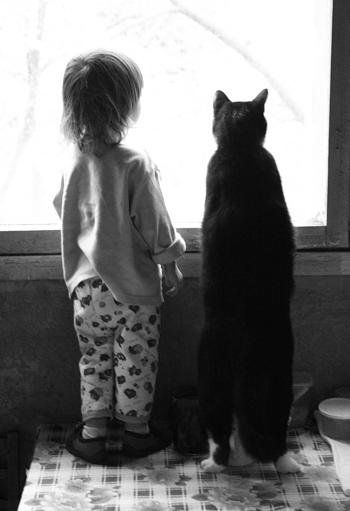 Мельком по утру глянувши в зеркало