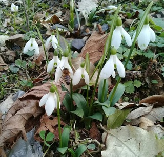 Военная весна 1943 г...