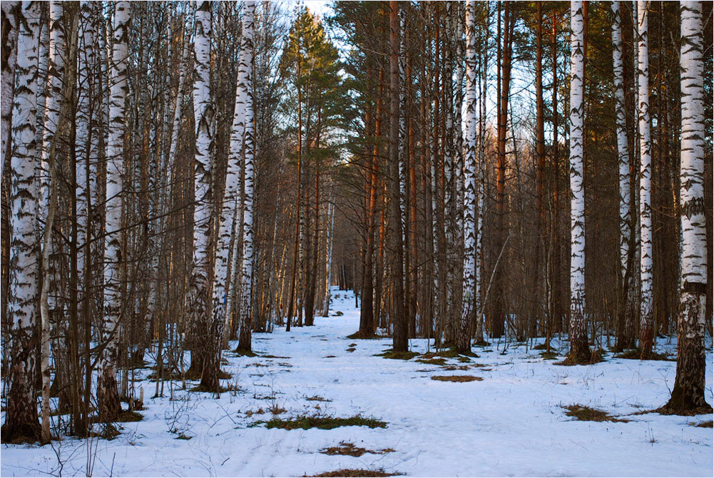 Еще березки не одеты