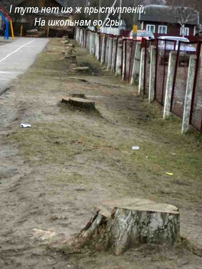 Шукалы мы тут вам шэ й каллы