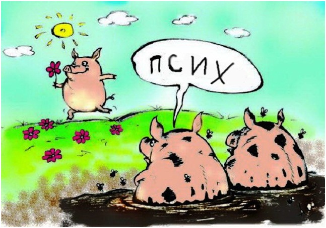 Вот такая яма Сонечка Мармеладненькая рецензия