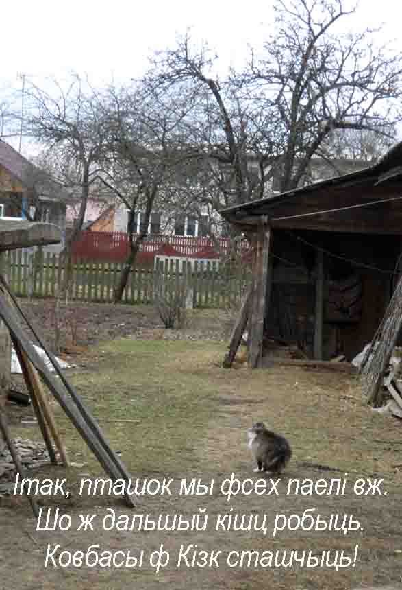 Шас пасмо3ма новыя новасти!