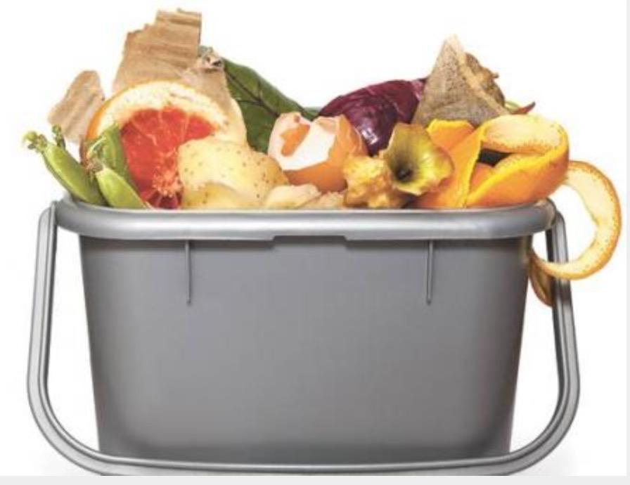 Ведро для пищевых отходов. Пищевые отходы. Ведро с пищевыми отходами. Мусорный для пищевых отходов.