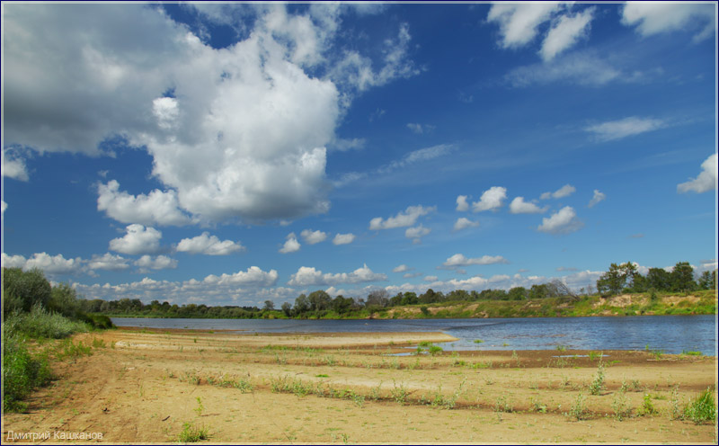 Летний день