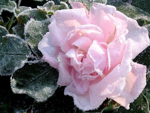 Пианиссимо нежно на цыпочках