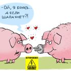 Свинья в парфюме