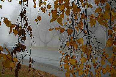 Замирает слеза...