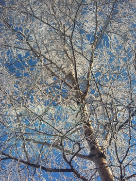 Прощай, Зима