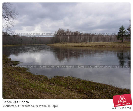 Подруга Волга