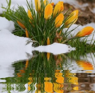 В преддверии весны