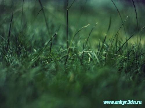 Немножко сбоку и чуть-чуть назад