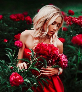 Пропеть любви сонет!