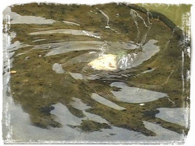 Пробуждение