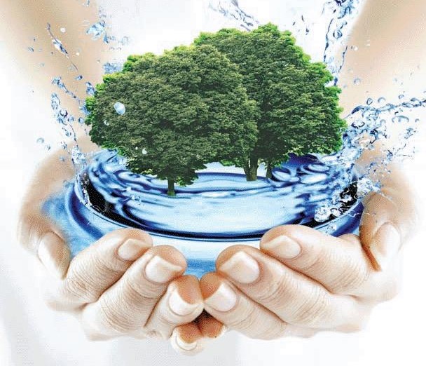 Колыбель жизни - вода