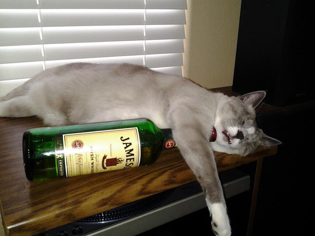 Ушёл я в нирвану...