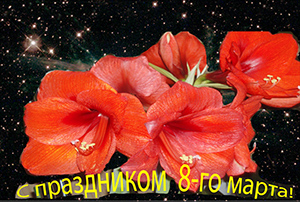 Монолог мужчины в день 8-го марта
