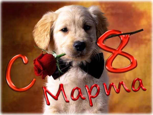 С праздником, девчата!!!