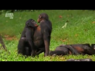 Восьмое близко