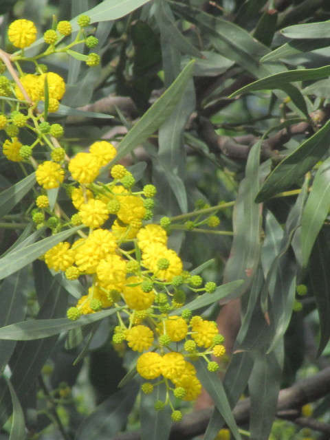 Посвящение любимым женщинам