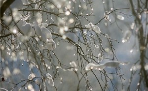 Не спеши весна