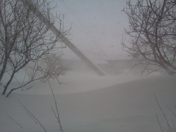 Гороскоп неверен твой. 08. 03. 2016г